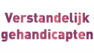 Verstandelijk Gehandicapten